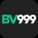 BV999 Game